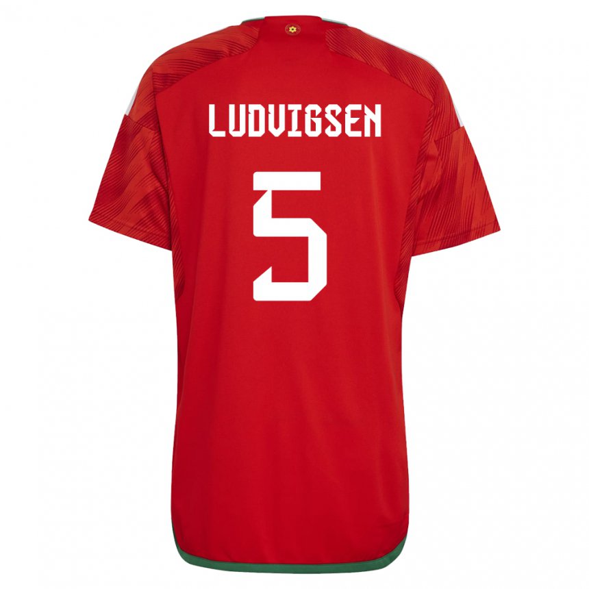 Kinder Walisische Kai Ludvigsen #5 Rot Heimtrikot Trikot 22-24 T-shirt Schweiz