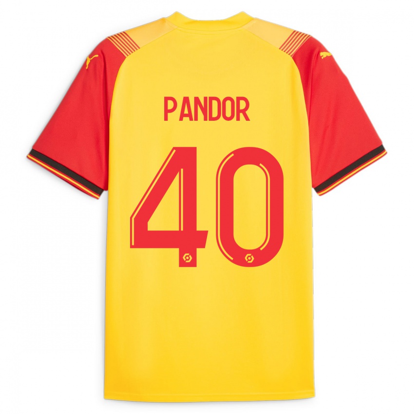 Herren Yannick Pandor #40 Gelb Heimtrikot Trikot 2023/24 T-Shirt Schweiz