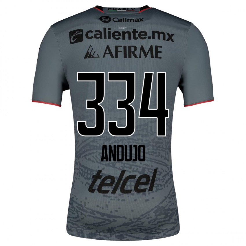 Herren Favio Andujo #334 Grau Auswärtstrikot Trikot 2023/24 T-Shirt Schweiz