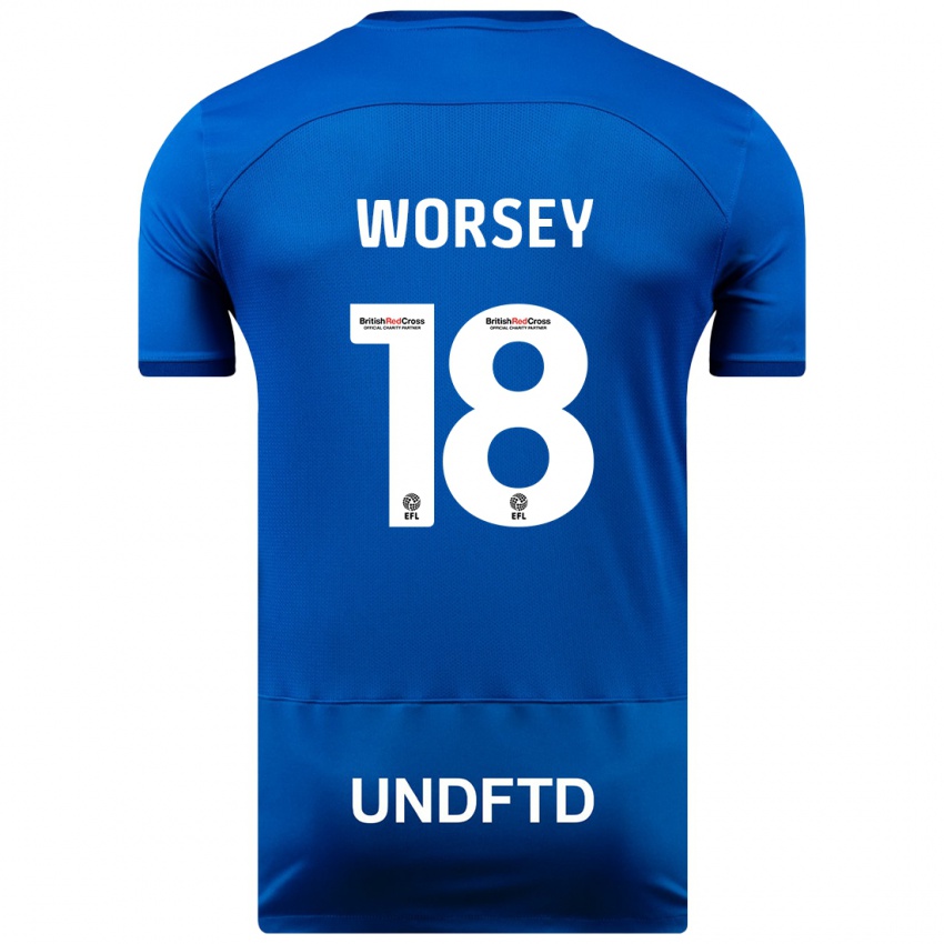 Kinder Louanne Worsey #18 Blau Heimtrikot Trikot 2023/24 T-Shirt Schweiz