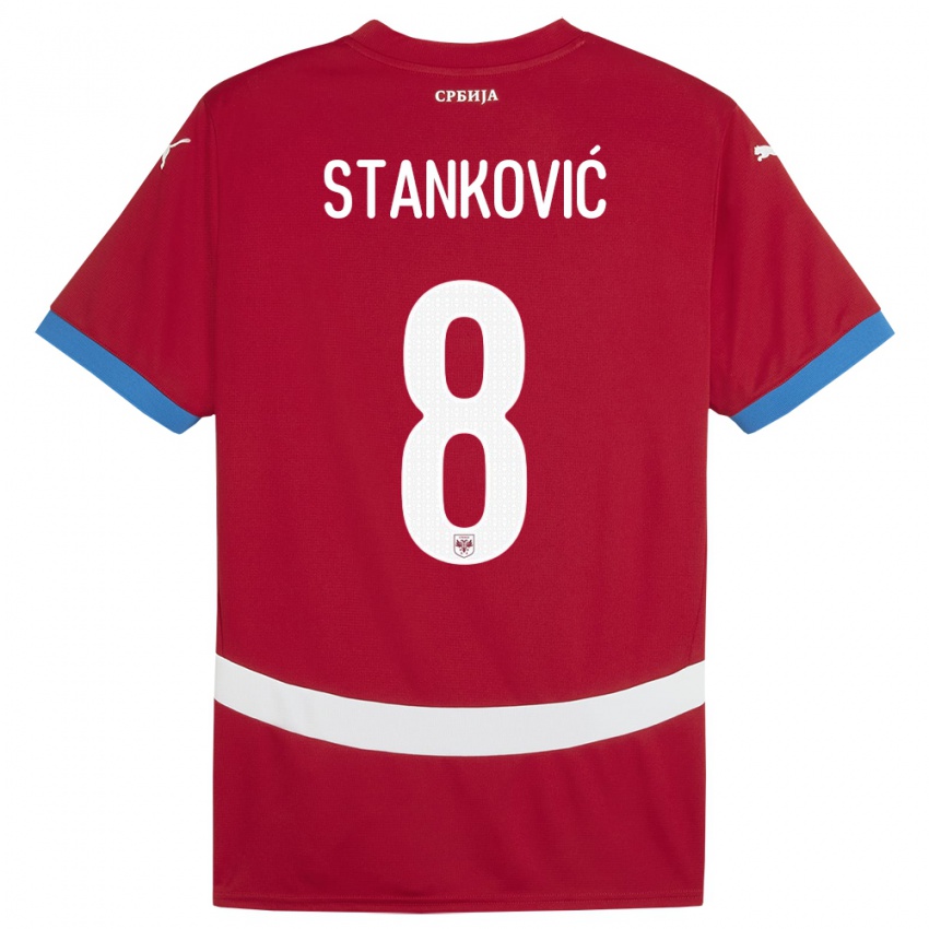 Kinder Serbien Aleksandar Stankovic #8 Rot Heimtrikot Trikot 24-26 T-Shirt Schweiz