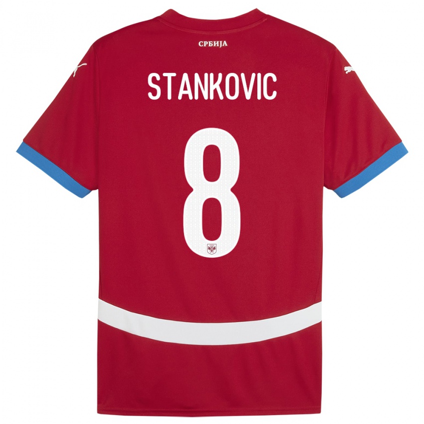 Herren Serbien Nikola Stankovic #8 Rot Heimtrikot Trikot 24-26 T-Shirt Schweiz