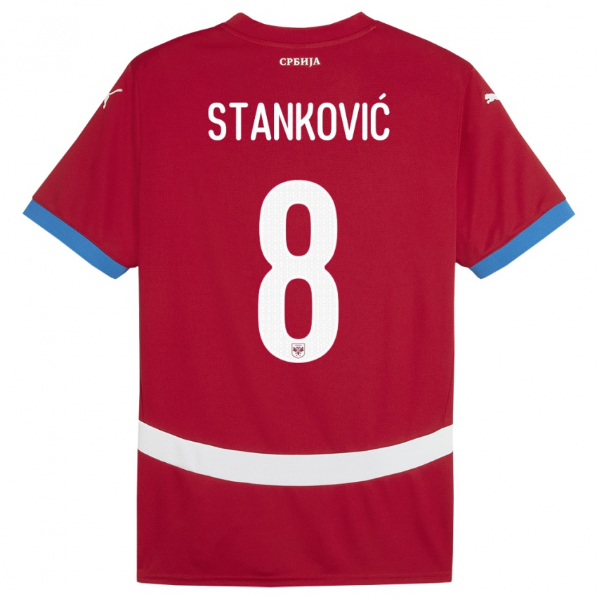 Herren Serbien Aleksandar Stankovic #8 Rot Heimtrikot Trikot 24-26 T-Shirt Schweiz