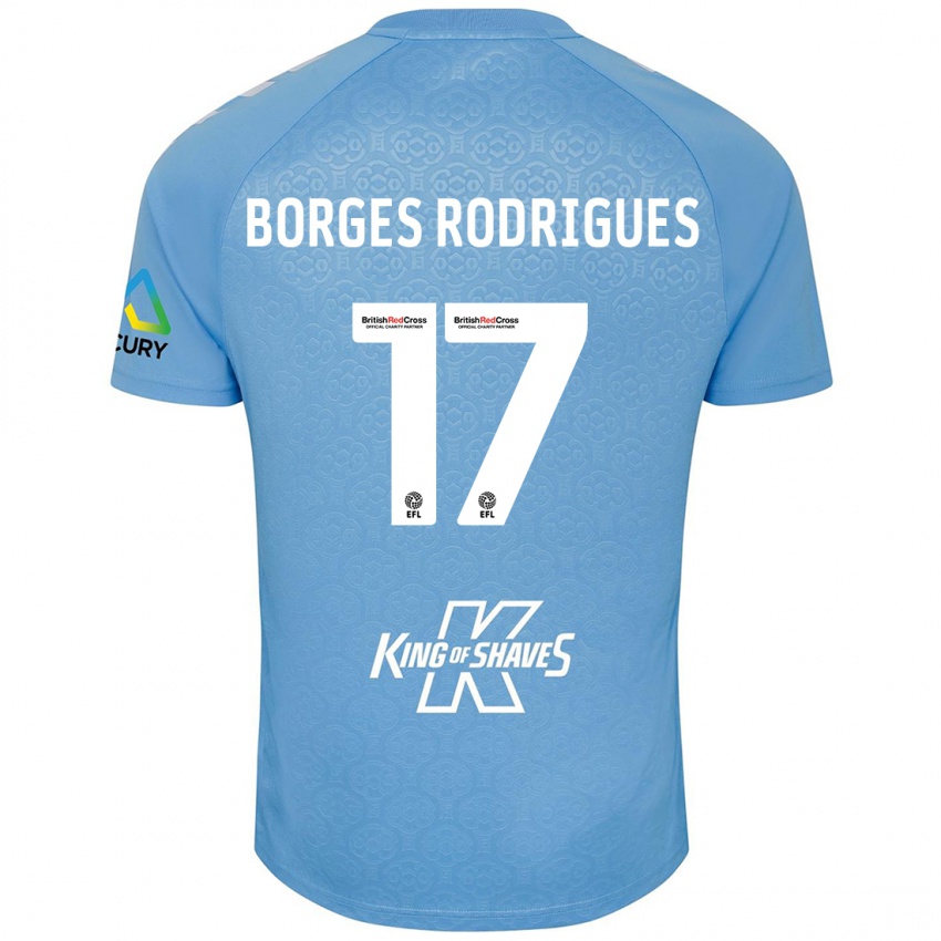 Enfant Maillot Raphael Borges Rodrigues #17 Bleu Blanc Tenues Domicile 2024/25 T-Shirt Suisse